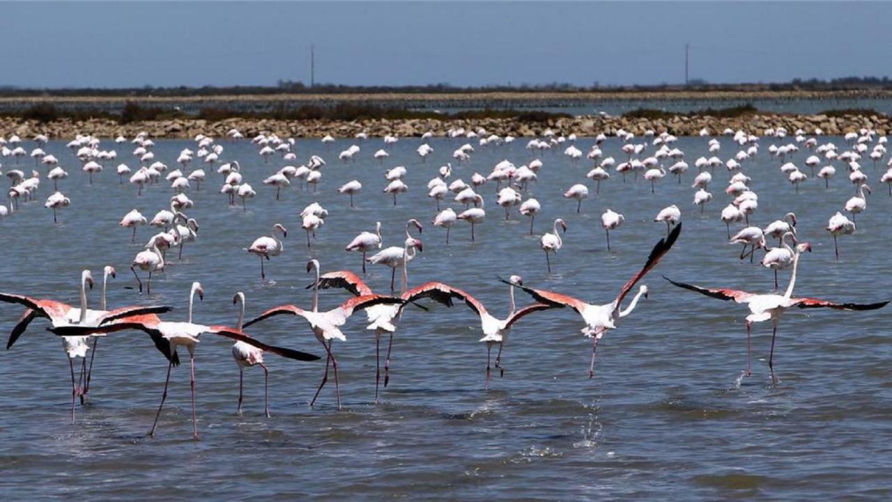 شقة L'Hippocampe سُت المظهر الخارجي الصورة